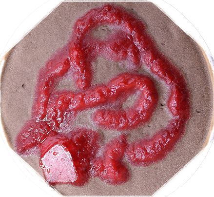 Slizewski Swirl