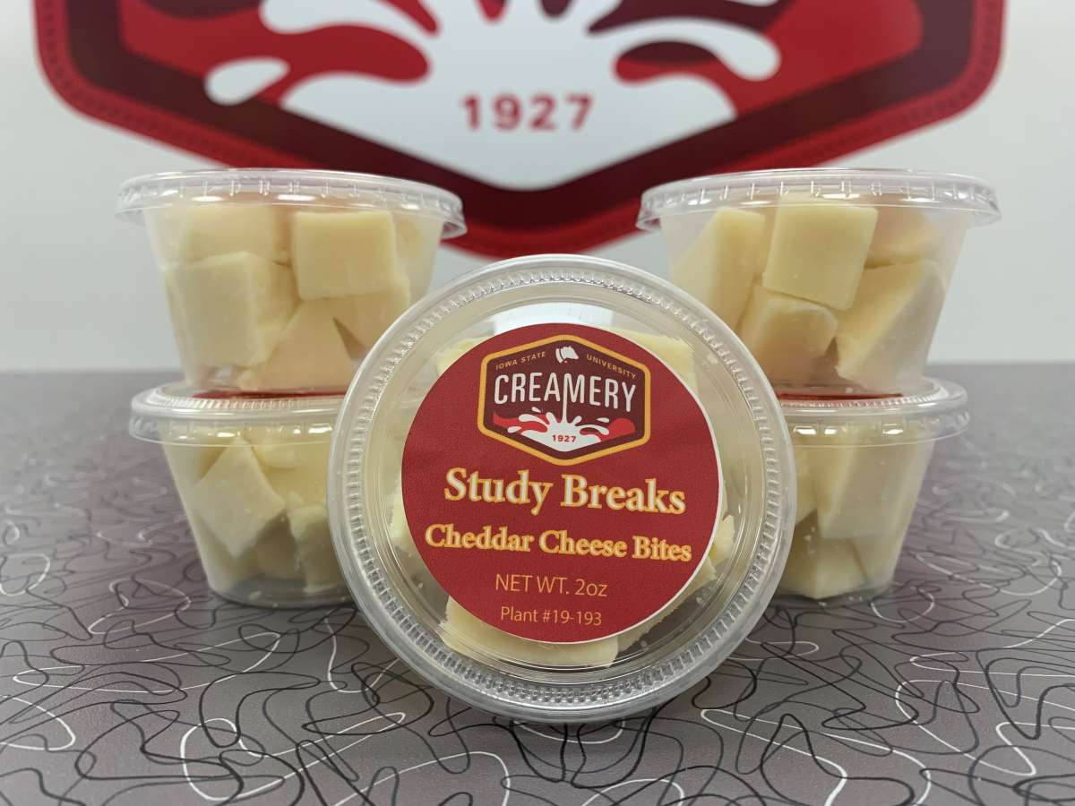 Study Breaks